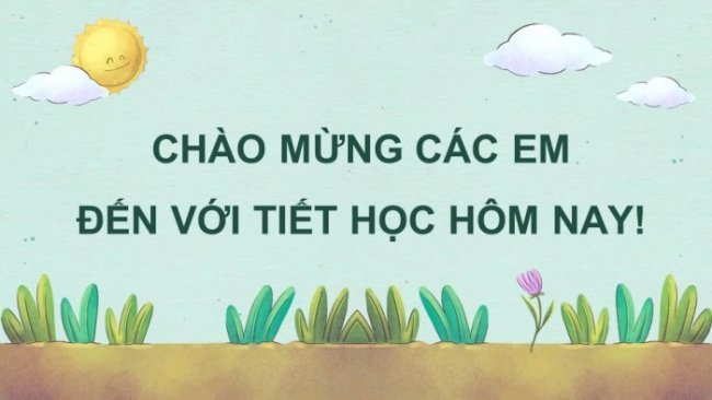 Soạn giáo án điện tử Địa lí 8 CD Bài 9: Thổ nhưỡng Việt Nam