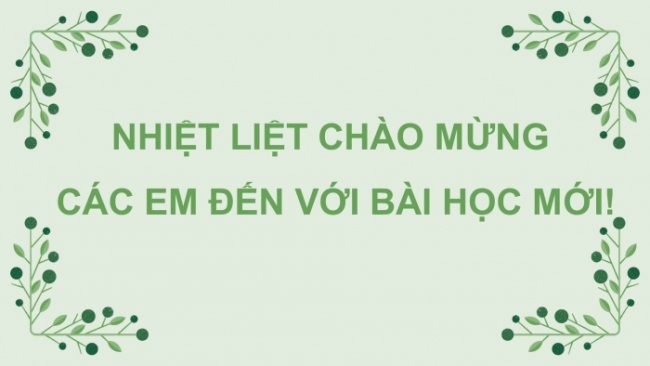 Soạn giáo án điện tử ngữ văn 11 CTST Bài 6 Đọc 2: Muối của rừng