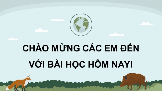 Soạn giáo án điện tử khoa học 4 KNTT Bài 29: Chuỗi thức ăn trong tự nhiên