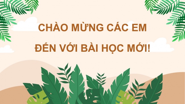 Soạn giáo án điện tử tiếng việt 4 CTST CĐ 7 Bài 7 Đọc: Rừng mơ