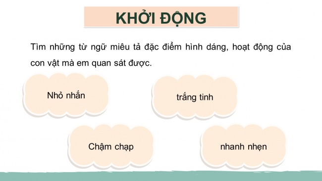 Soạn giáo án điện tử tiếng việt 4 CTST CĐ 7 Bài 2 Viết: Quan sát, tìm ý cho bài văn miêu tả con vật