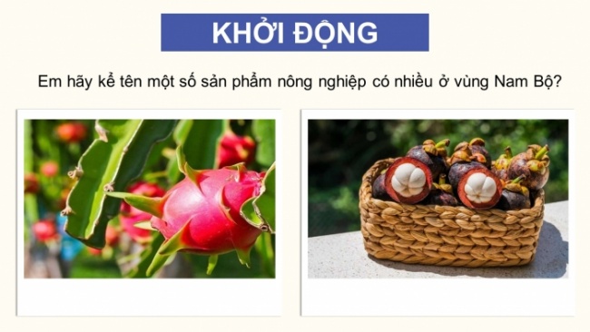 Soạn giáo án điện tử lịch sử và địa lí 4 cánh diều Bài 19: Dân cư, hoạt động sản xuất và một số nét văn hóa ở vùng Nam Bộ