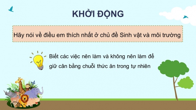 Soạn giáo án điện tử khoa học 4 KNTT Bài 31: Ôn tập chủ đề sinh vật và môi trường