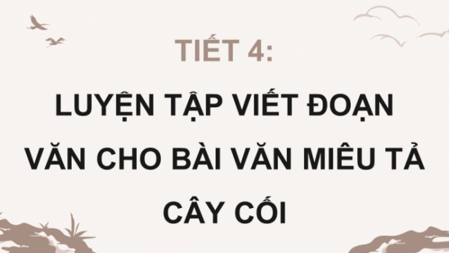 Soạn giáo án điện tử tiếng việt 4 CTST CĐ 6 Bài 3 Viết: Luyện tập viết đoạn văn cho bài văn miêu tả cây cối