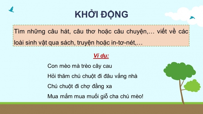 Soạn giáo án điện tử khoa học 4 CTST Bài 32: Ôn tập chủ đề Sinh vật và môi trường