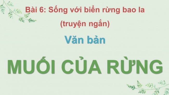 Soạn giáo án điện tử ngữ văn 11 CTST Bài 6 Đọc 2: Muối của rừng