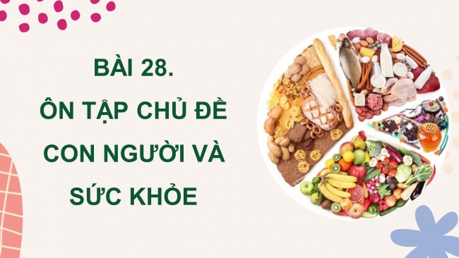 Soạn giáo án điện tử khoa học 4 KNTT Bài 28: Ôn tập chủ đề con người và sức khỏe