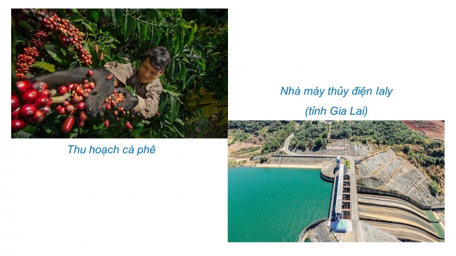 Soạn giáo án điện tử lịch sử và địa lí 4 KNTT Bài 21: Dân cư và hoạt động sản xuất ở vùng Tây Nguyên