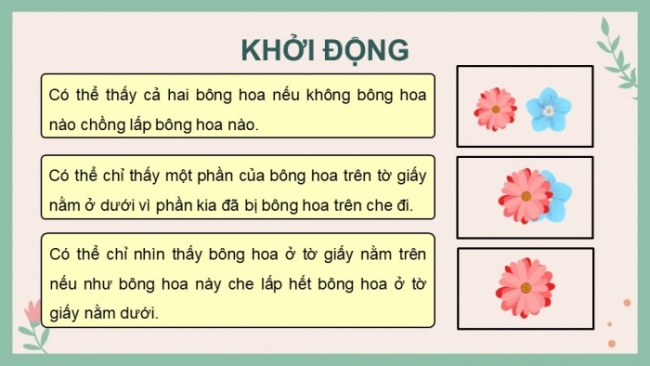 Soạn giáo án điện tử Tin học 8 CD Chủ đề E3 Bài 4: Lớp ảnh