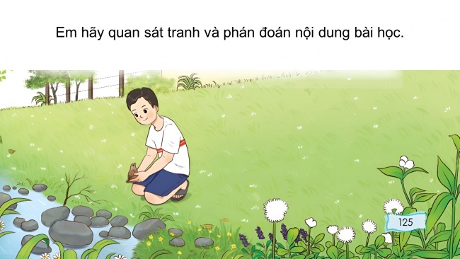 Soạn giáo án điện tử tiếng việt 4 CTST CĐ 8 Bài 5 Đọc: Quà tặng của chim non