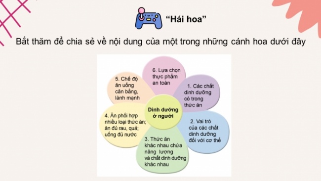 Soạn giáo án điện tử khoa học 4 cánh diều Bài: Ôn tập chủ đề Con người và sức khỏe