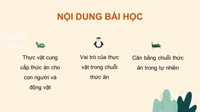 Soạn giáo án điện tử khoa học 4 KNTT Bài 30: Vai trò của thực vật trong chuỗi thức ăn