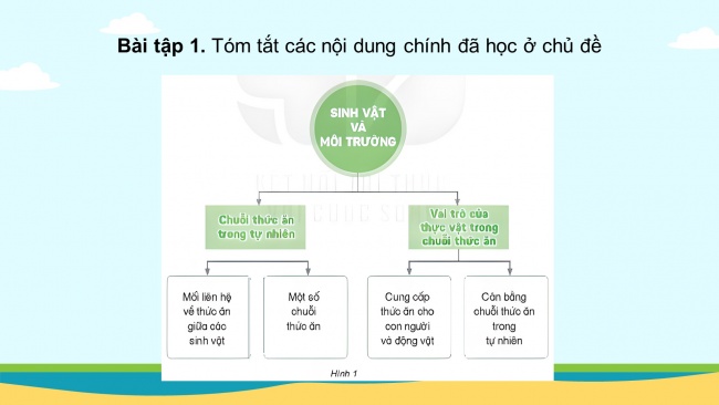 Soạn giáo án điện tử khoa học 4 KNTT Bài 31: Ôn tập chủ đề sinh vật và môi trường