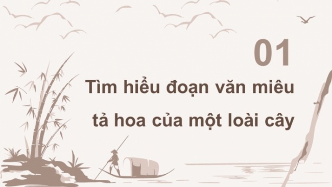 Soạn giáo án điện tử tiếng việt 4 CTST CĐ 6 Bài 3 Viết: Luyện tập viết đoạn văn cho bài văn miêu tả cây cối