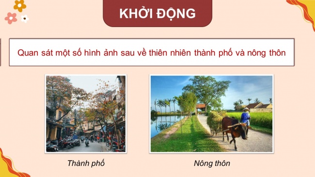 Soạn giáo án điện tử tiếng việt 4 KNTT Bài 20 Đọc: Chiều ngoại ô