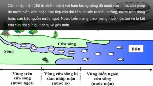 Soạn giáo án điện tử Địa lí 8 CD Bài 8: Tác động của biến đổi khí hậu đối với khí hậu và thủy văn Việt Nam