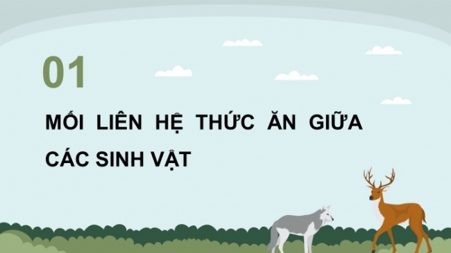 Soạn giáo án điện tử khoa học 4 cánh diều Bài 22: Chuỗi thức ăn