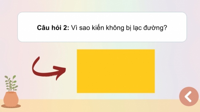 Soạn giáo án điện tử HĐTN 4 CTST bản 2 Tuần 26: HĐGDTCĐ - Hình thành thói quen tư duy khoa học