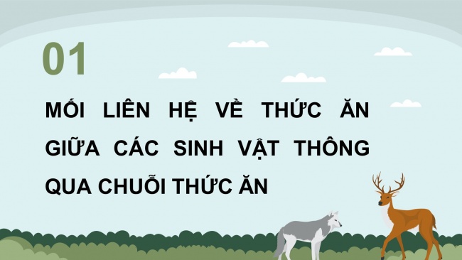 Soạn giáo án điện tử khoa học 4 KNTT Bài 29: Chuỗi thức ăn trong tự nhiên