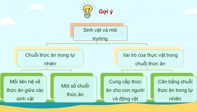 Soạn giáo án điện tử khoa học 4 KNTT Bài 31: Ôn tập chủ đề sinh vật và môi trường