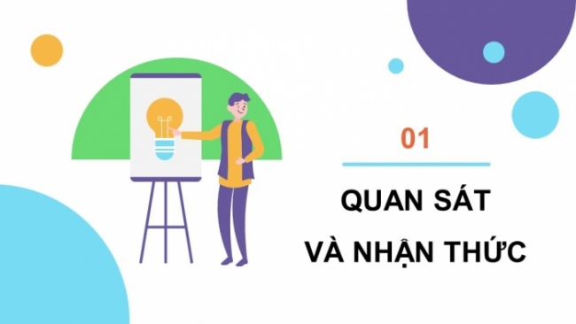 Soạn giáo án điện tử Mĩ thuật 8 CD Bài 13: Thiết kế và trang trí đồ dùng