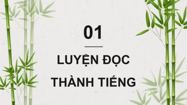 Soạn giáo án điện tử tiếng việt 4 CTST CĐ 6 Bài 8 Đọc: Về lại Gò Công