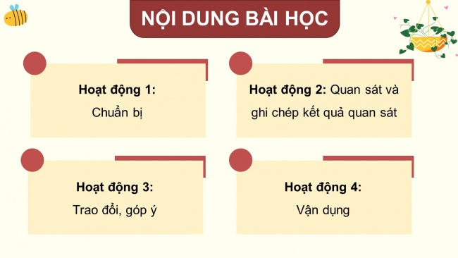 Soạn giáo án điện tử tiếng việt 4 KNTT Bài 19 Viết: Quan sát cây cối