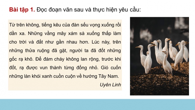 Soạn giáo án điện tử tiếng việt 4 CTST