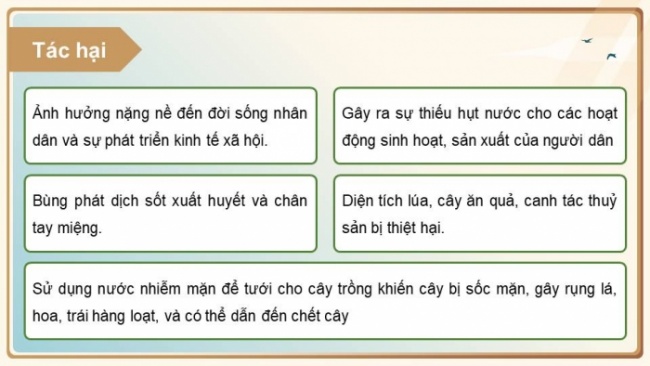 Soạn giáo án điện tử Địa lí 8 CD Bài 8: Tác động của biến đổi khí hậu đối với khí hậu và thủy văn Việt Nam