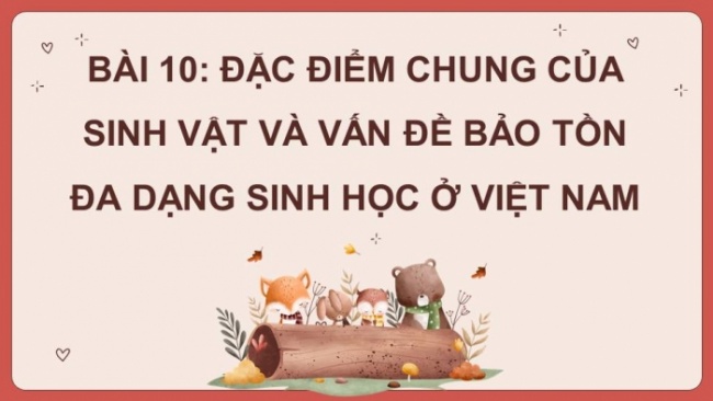 Soạn giáo án điện tử Địa lí 8 CD Bài 10: Đặc điểm chung của sinh vật và vấn đề bảo tồn đa dạng sinh học ở Việt Nam