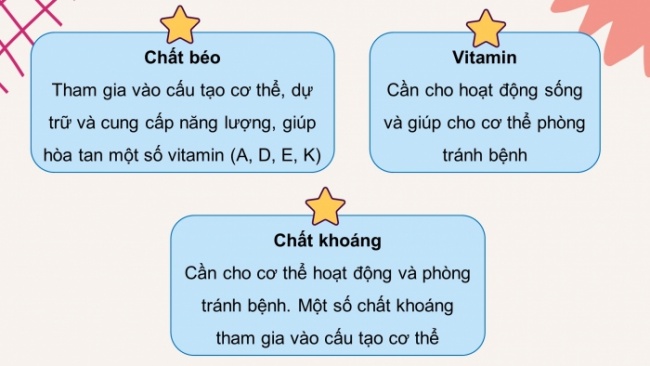 Soạn giáo án điện tử khoa học 4 cánh diều Bài: Ôn tập chủ đề Con người và sức khỏe