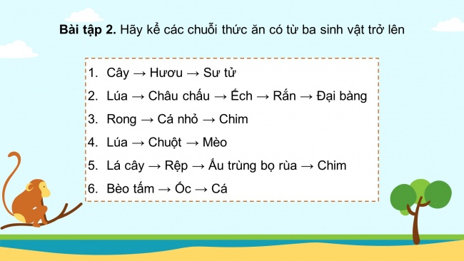 Soạn giáo án điện tử khoa học 4 KNTT Bài 31: Ôn tập chủ đề sinh vật và môi trường