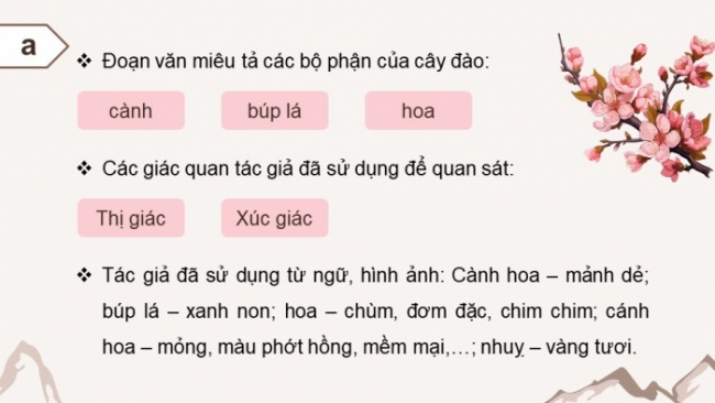 Soạn giáo án điện tử tiếng việt 4 CTST CĐ 6 Bài 3 Viết: Luyện tập viết đoạn văn cho bài văn miêu tả cây cối