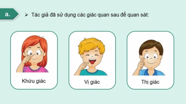 Soạn giáo án điện tử tiếng việt 4 CTST CĐ 5 Bài 2 Viết: Quan sát, tìm ý cho bài văn miêu tả cây cối