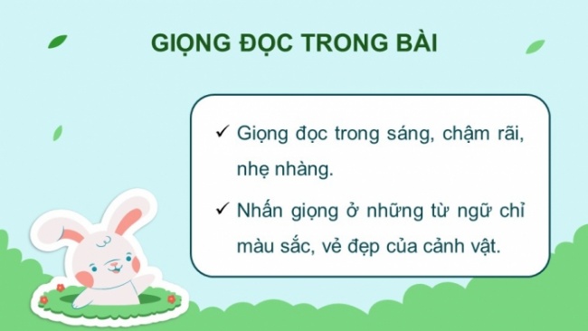 Soạn giáo án điện tử tiếng việt 4 CTST CĐ 5 Bài 8 Đọc: Mùa hoa phố Hội