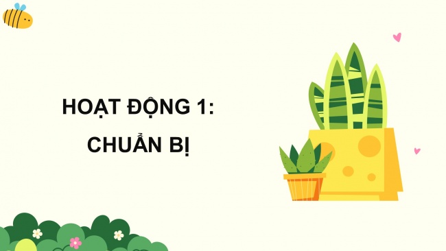 Soạn giáo án điện tử tiếng việt 4 KNTT Bài 19 Viết: Quan sát cây cối