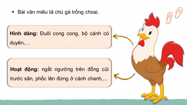 Soạn giáo án điện tử tiếng việt 4 CTST CĐ 7 Bài 2 Viết: Quan sát, tìm ý cho bài văn miêu tả con vật