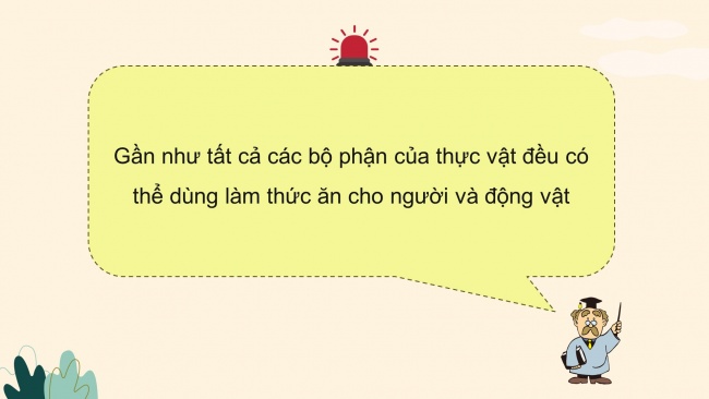 Soạn giáo án điện tử khoa học 4 KNTT Bài 30: Vai trò của thực vật trong chuỗi thức ăn