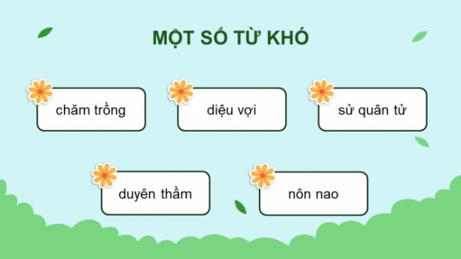 Soạn giáo án điện tử tiếng việt 4 CTST CĐ 5 Bài 8 Đọc: Mùa hoa phố Hội