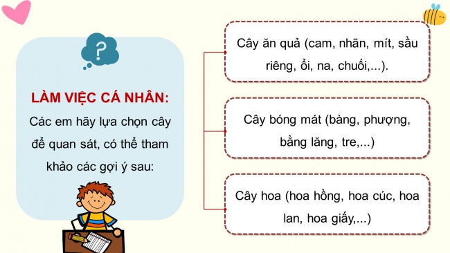 Soạn giáo án điện tử tiếng việt 4 KNTT Bài 19 Viết: Quan sát cây cối