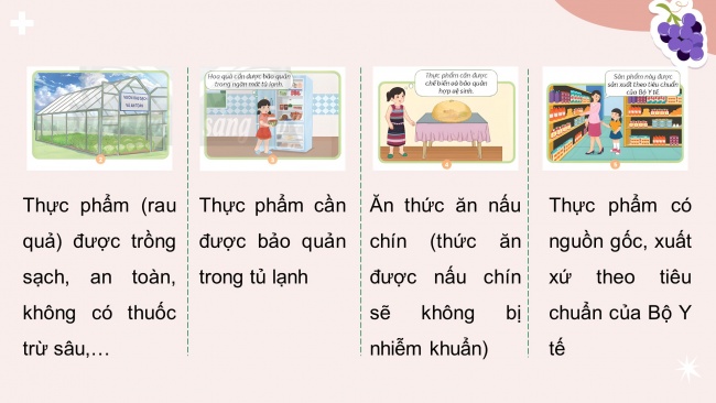 Soạn giáo án điện tử khoa học 4 CTST Bài 26: Thực phẩm an toàn