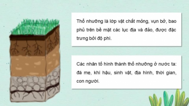 Soạn giáo án điện tử Địa lí 8 CD Bài 9: Thổ nhưỡng Việt Nam