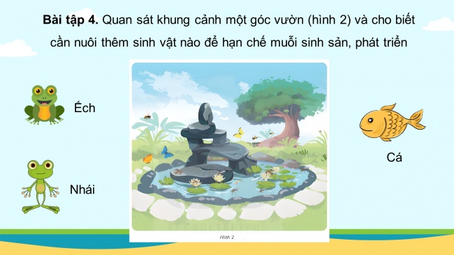 Soạn giáo án điện tử khoa học 4 KNTT Bài 31: Ôn tập chủ đề sinh vật và môi trường