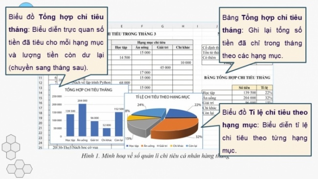 Soạn giáo án điện tử Tin học 8 CD Chủ đề E1 Bài 6: Thực hành tổng hợp