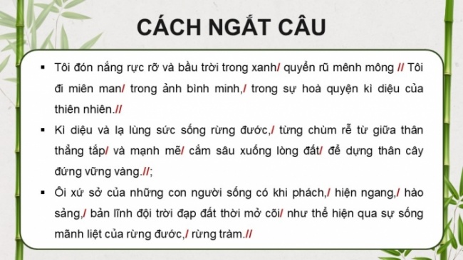 Soạn giáo án điện tử tiếng việt 4 CTST CĐ 6 Bài 8 Đọc: Về lại Gò Công