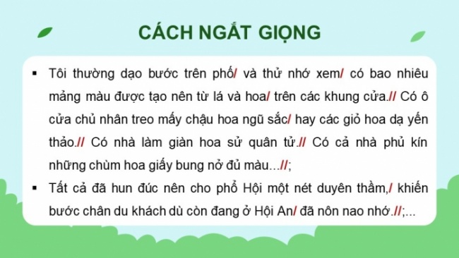 Soạn giáo án điện tử tiếng việt 4 CTST CĐ 5 Bài 8 Đọc: Mùa hoa phố Hội