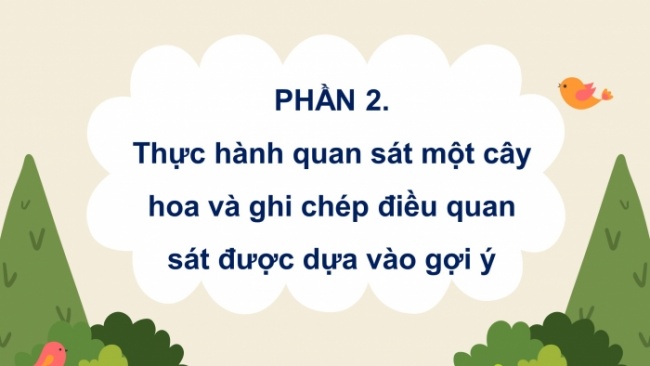 Soạn giáo án điện tử tiếng việt 4 CTST CĐ 5 Bài 8 Viết: Luyện tập quan sát, tìm ý cho bài văn miêu tả cây cối