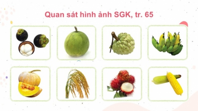 Soạn giáo án điện tử mĩ thuật 4 cánh diều Bài 14: Nông sản quê em