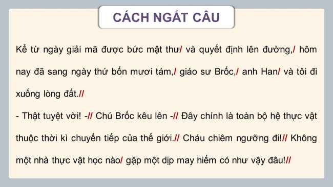 Soạn giáo án điện tử tiếng việt 4 CTST CĐ 7 Bài 5 Đọc: Biển và rừng cây dưới lòng đất