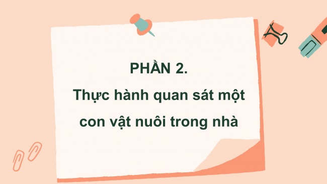 Soạn giáo án điện tử tiếng việt 4 CTST CĐ 7 Bài 2 Viết: Quan sát, tìm ý cho bài văn miêu tả con vật